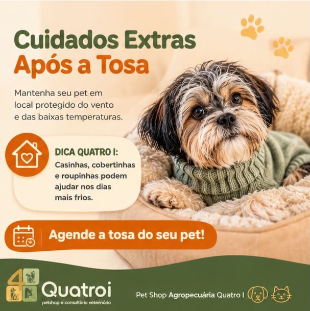 Cuidados extras após a tosa