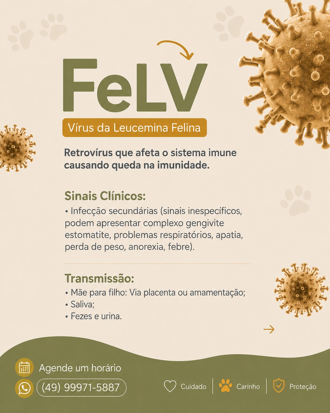 FeLV — Vírus da Leucemia Felina