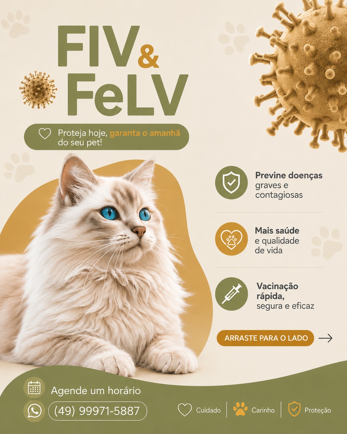FIV & FeLV — proteja hoje, garanta o amanhã