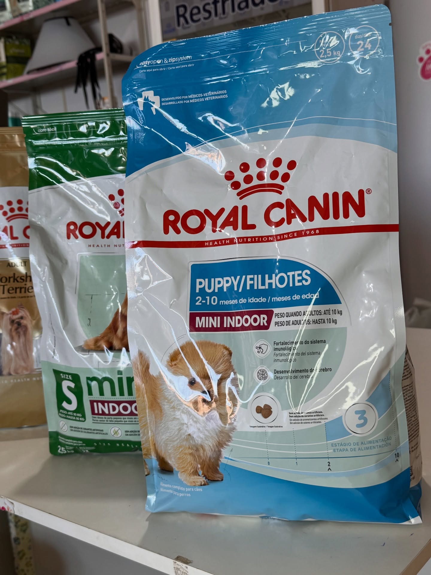 Ração Royal Canin disponível no Petshop 4i